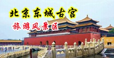 插烂你的逼视频中国北京-东城古宫旅游风景区